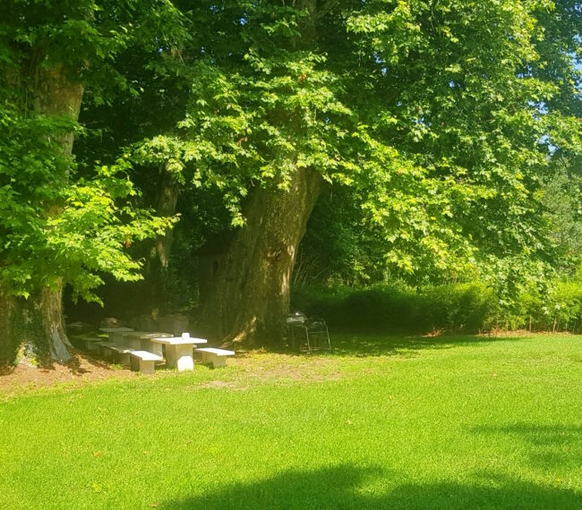 VUE-TABLES-PLATANES-PISCINE